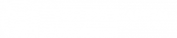 logo wit